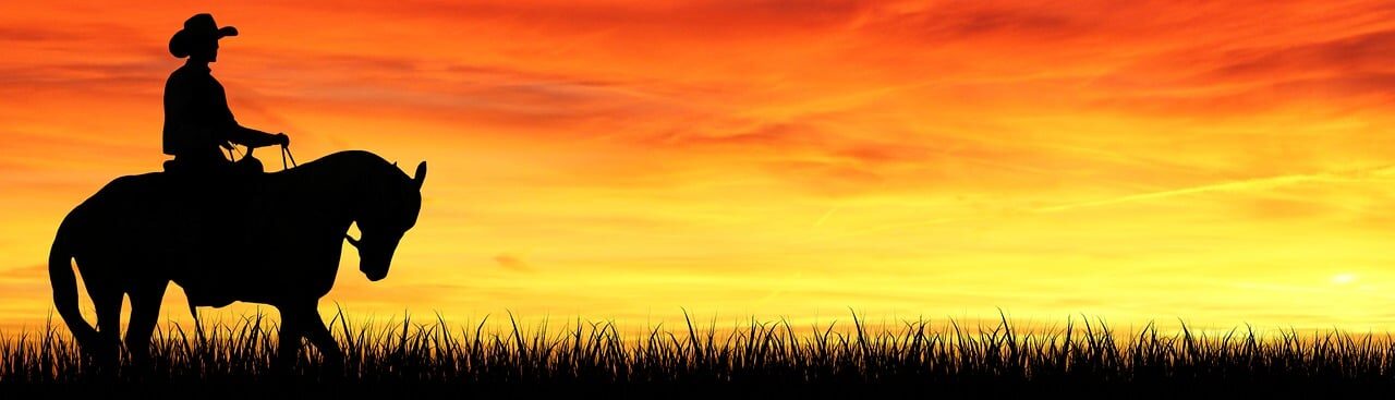 cowboy, man, western, portrait, human, rider, male, horse, animal, silhouette, sunset, sky, clouds, dusk, twilight, view, scenic, colorful, bright, banner, header, article, website, newsletter, copy space